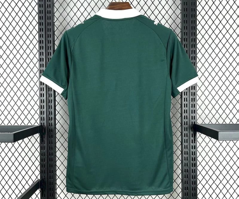 Camisola Plymouth Argyle F.C. Principal 25/26 - Vista 2