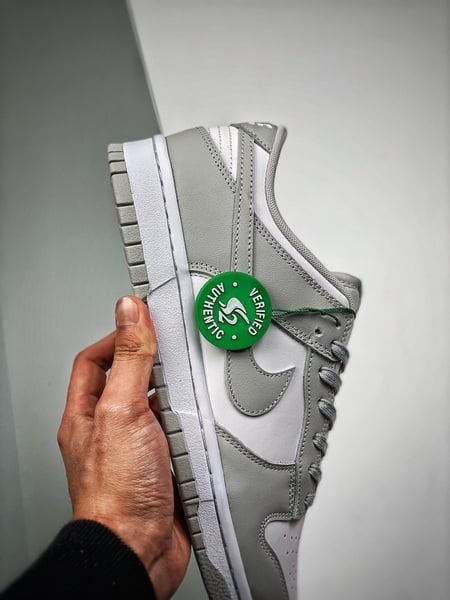 Nike Dunk Grey Fog - Vista 6