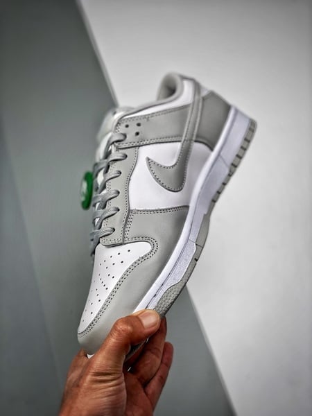 Nike Dunk Grey Fog - Vista 2