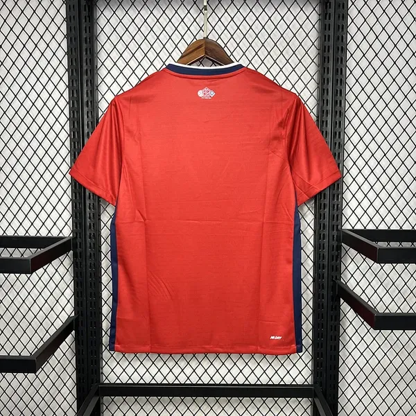 Lille 2024/25 Home Jersey - Vista 3