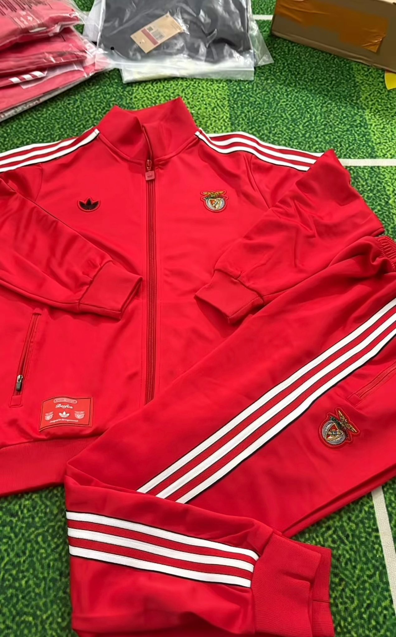SL Benfica x adidas Originals Training Suit - Vista 2