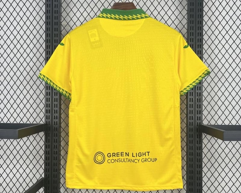 Camisola Norwich City FC Principal 25/26 - Vista 2