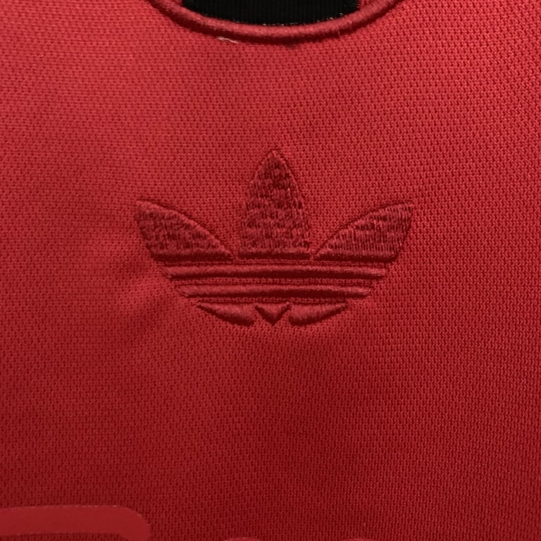 Ajax Commemorative Edition Manga Comprida 2025/26 - Vista 4