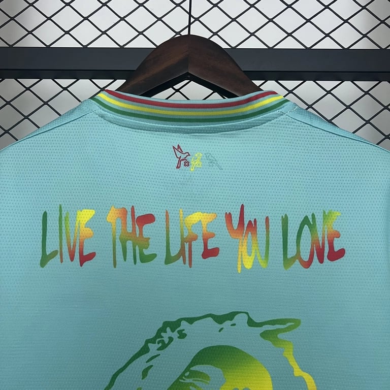 Ajax Special Edition Green 2025/26 - Vista 5