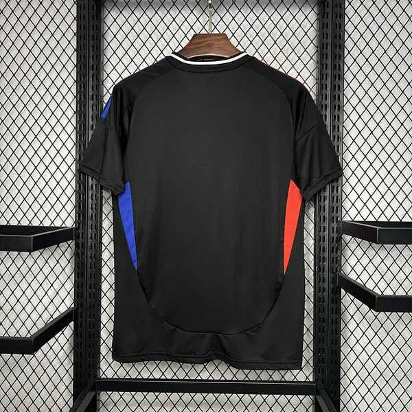 Lyon 2024/25 Away Jersey - Vista 2